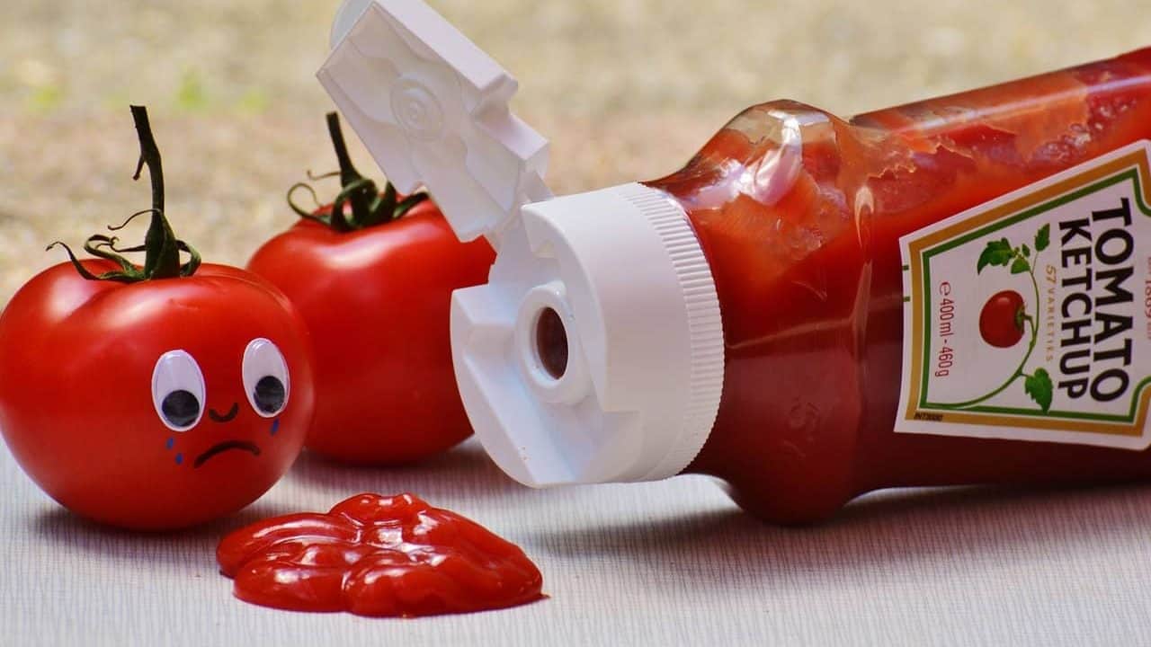 ketchup crying tomato funny