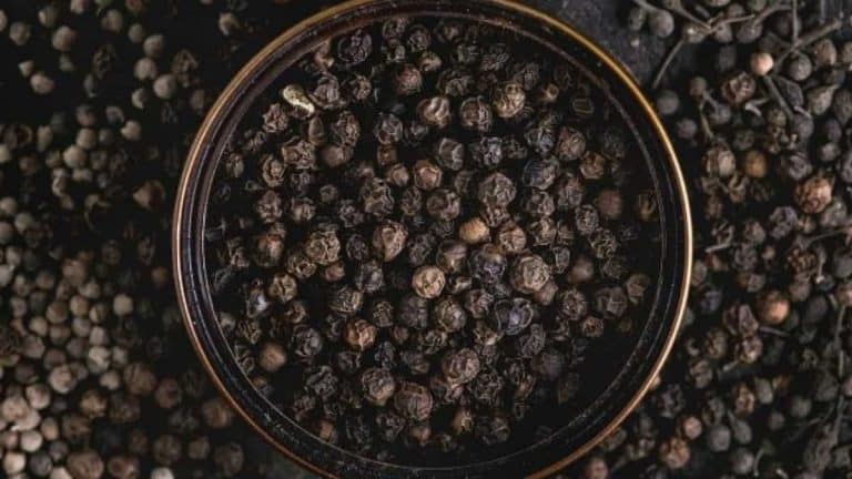 what-is-black-pepper