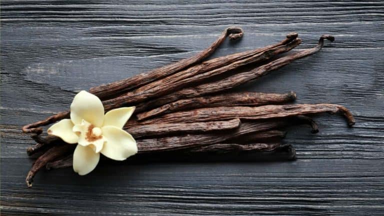 What is Vanilla Spice?