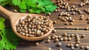 What is Coriander Seed Spice?