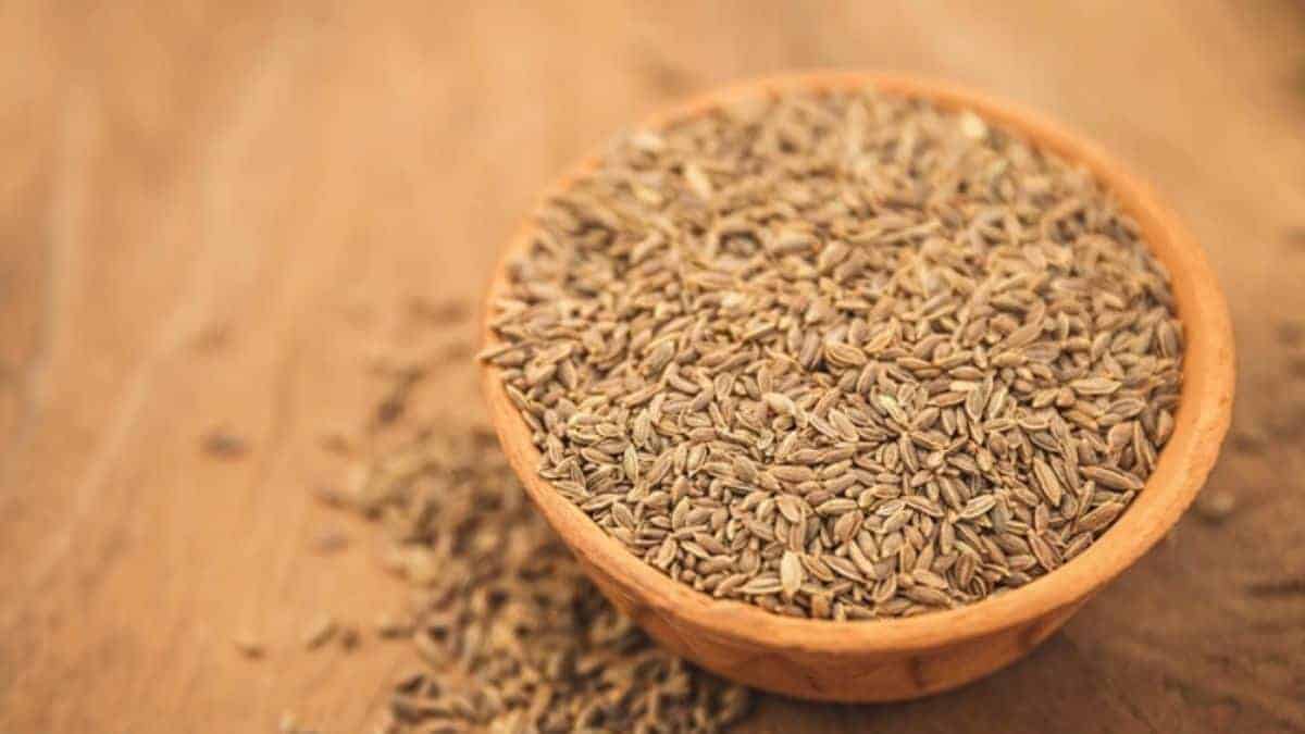 Dill Seed Spice