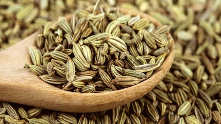 What is Fennel Seed Spice?